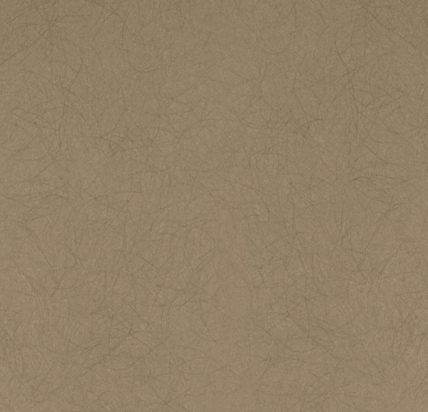 Обои Bernardo Bartalucci Legend 5068-65