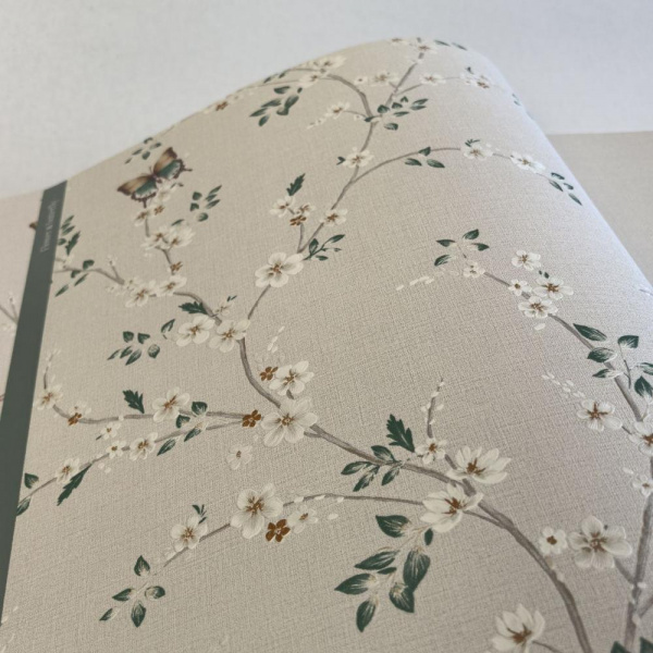 Andrea Rossi Spectrum Box 54460-2