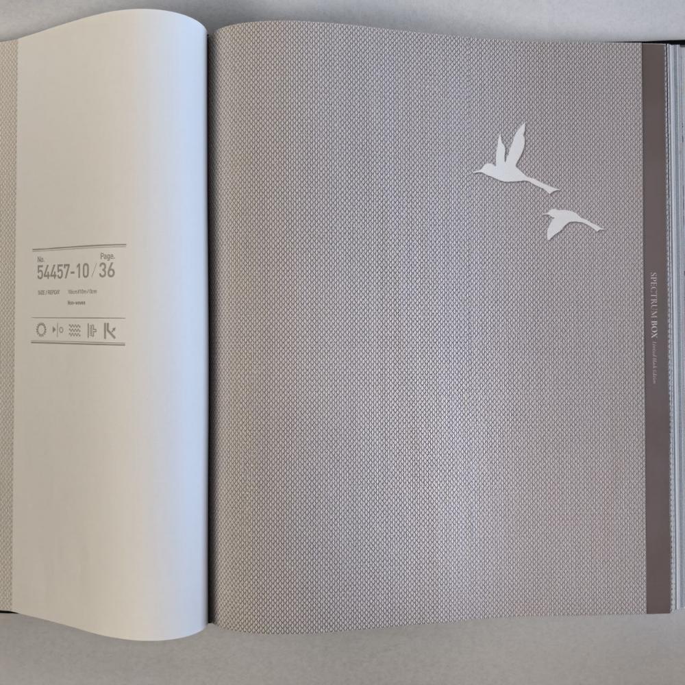 Andrea Rossi Spectrum Box 54457-11