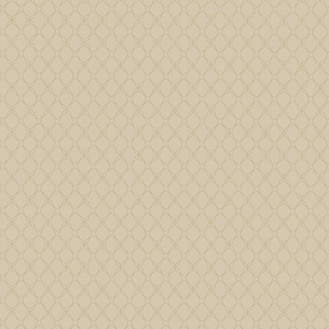 Andrea Rossi Gallinara 54315-8