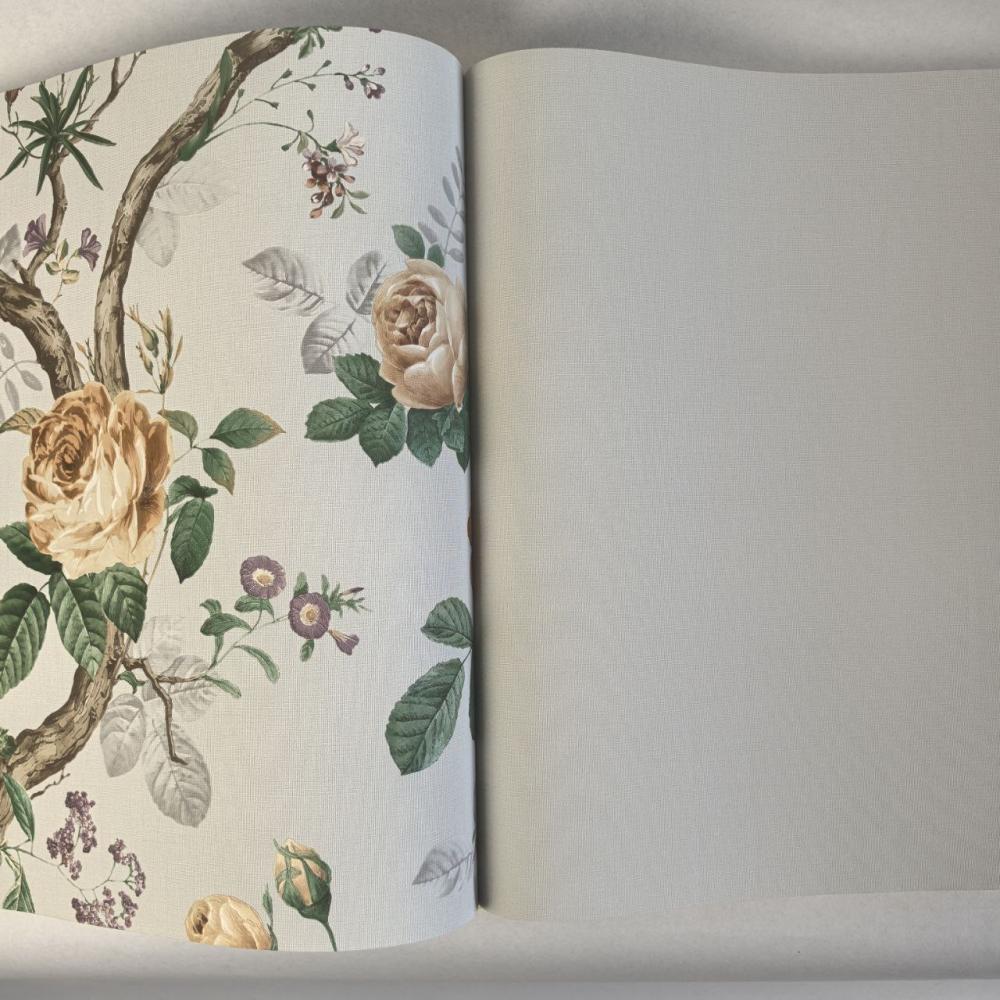 Andrea Rossi Cavolli 54420-9