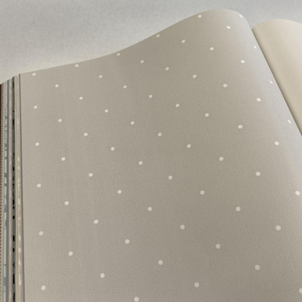 Andrea Rossi Spectrum Box 54454-4