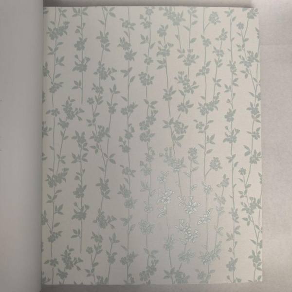 Andrea Rossi Berggi 54451-6