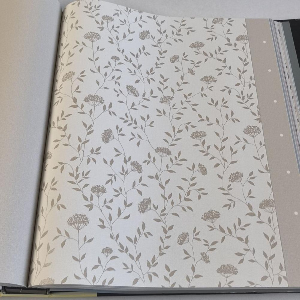 Andrea Rossi Spectrum Box 54456-2