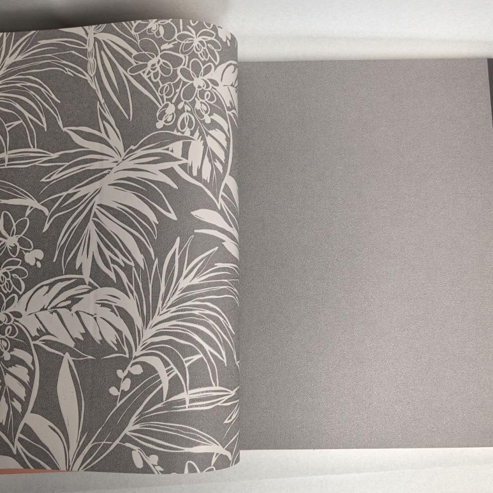 Andrea Rossi Berggi 54446-4