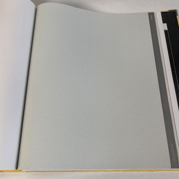 Andrea Rossi Cavolli 54416-9