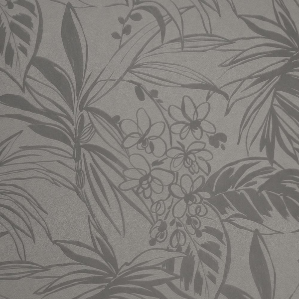 Andrea Rossi Berggi 54446-3