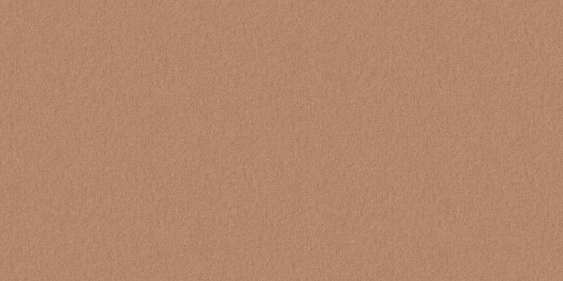 A. Grifoni Palazzo Peterhof 7008-10