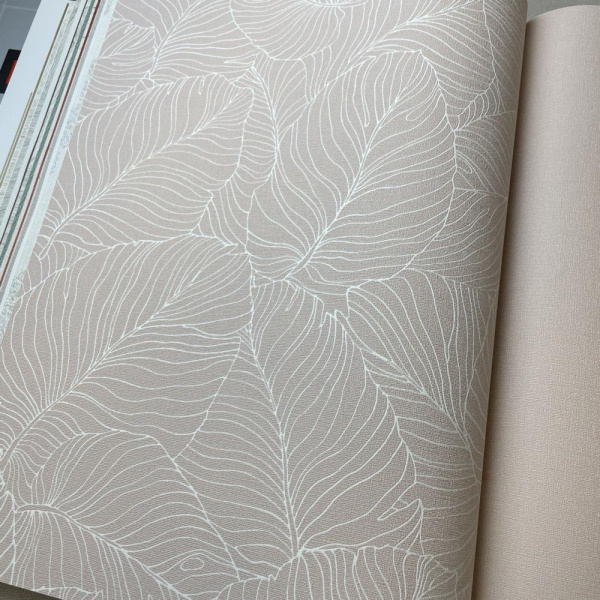 Andrea Rossi Palmaria 54464-4