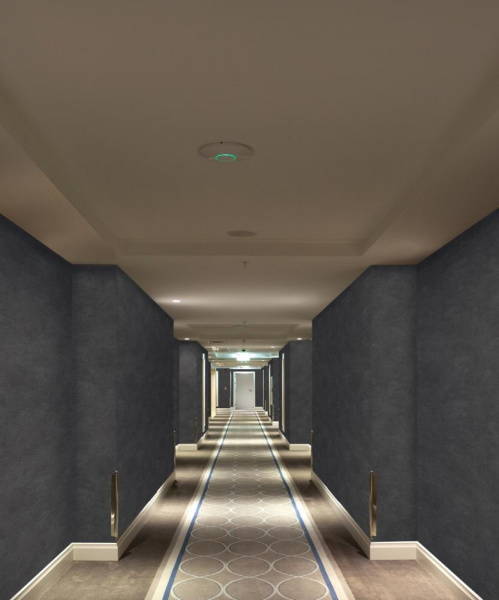 Marburg Solid Contract-Newton 33501