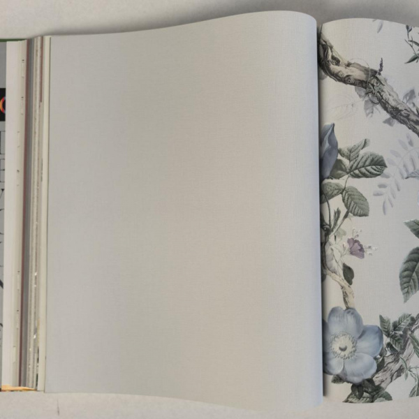 Andrea Rossi Cavolli 54420-6