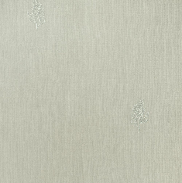 Andrea Rossi Palmaria 54462-1