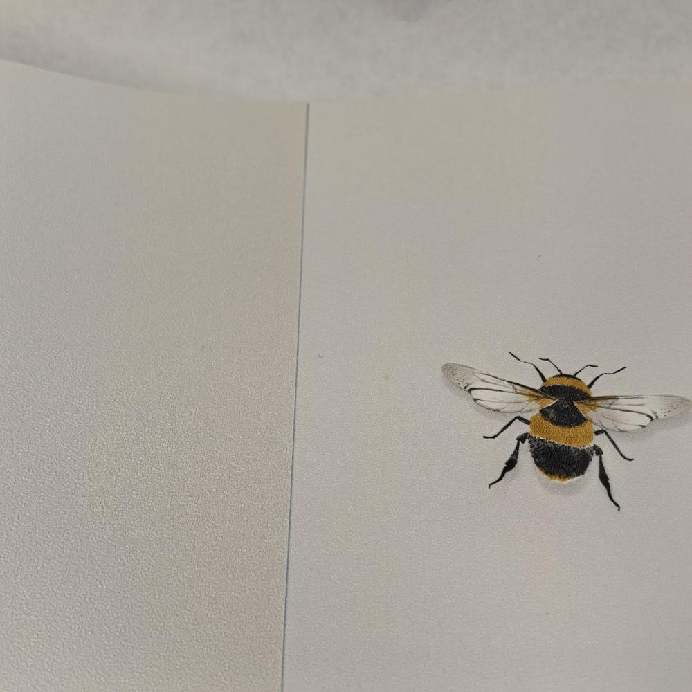 Andrea Rossi Cavolli 54419-2