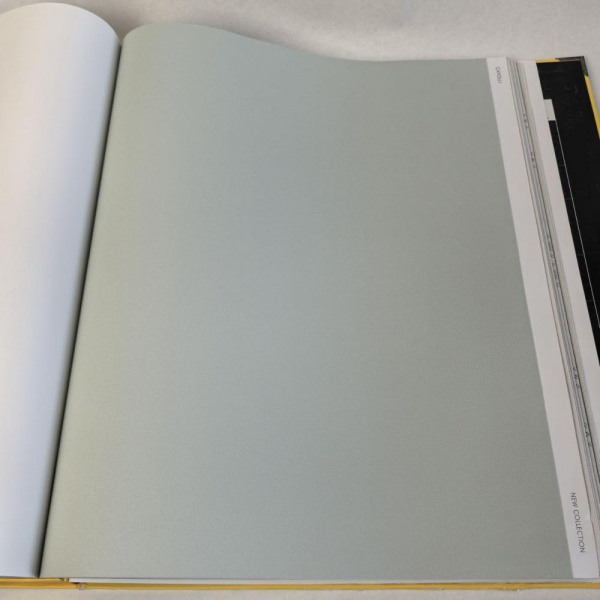 Andrea Rossi Cavolli 54418-11