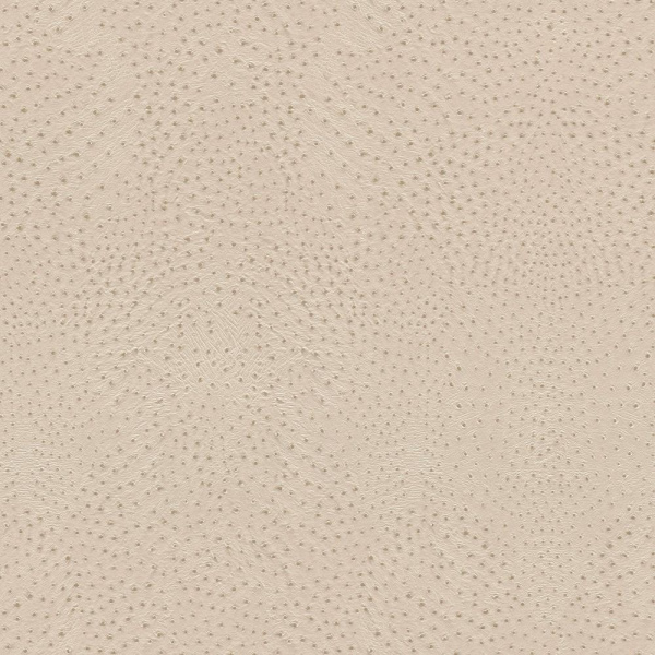 Rasch African Queen III 751512